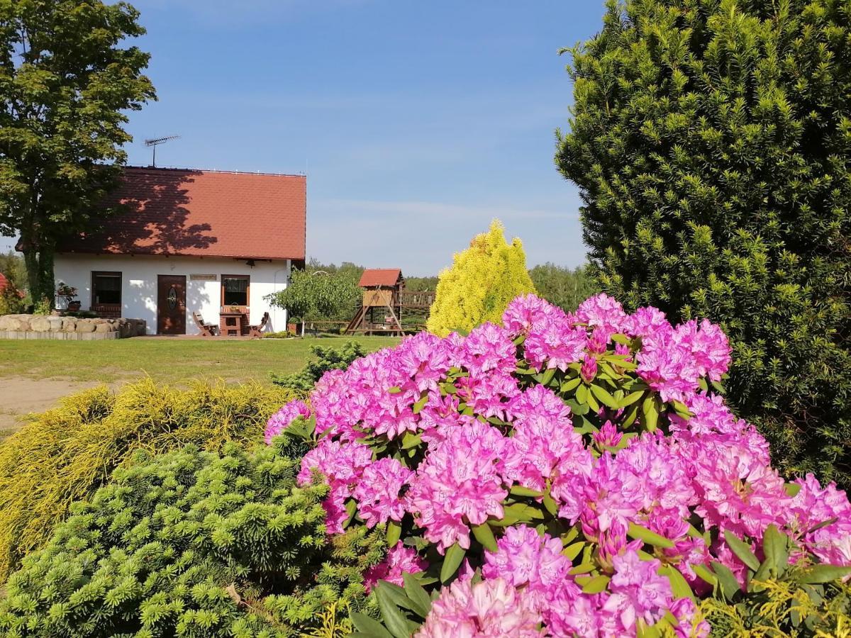 Domek Czerwony Kapturek Villa Plocice Exterior photo